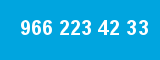 966 223 42 33